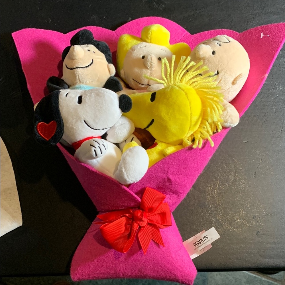 16 in Peanuts Plush Bouquet NWOT